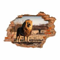 103 Wandtattoo Löwe Savanne - Loch in der Wand in 6 Größen Kinderzimmer Wanddeko Sticker Aufkleber Bild 1