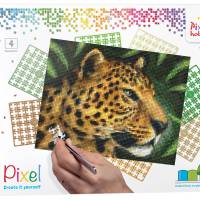 Pixel-Klassik-Set Leopard Bild 1