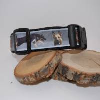 Halsband Hundehalsband m. Reflektoren Gr. 45-55 cm verstellbar ungepolstert od. gepolstert m. Neopren Muster Schäferhund Bild 3