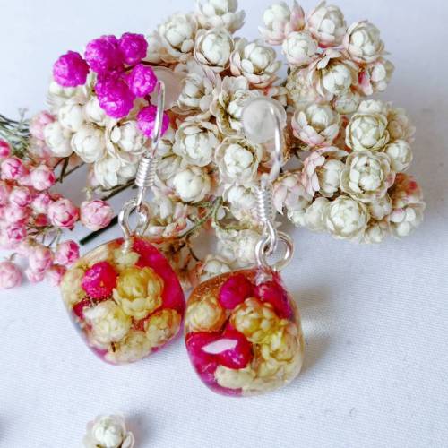 Ohrringe Würfel Ozothamnus Blumen rosa weiß