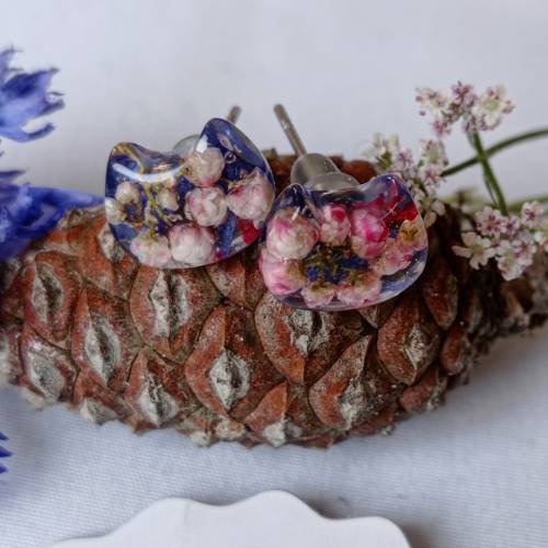 Ohrstecker Katzen echte Blumen klein bunt