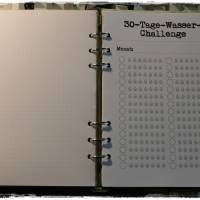 "30-Tage-Wasser-Challenge" - Din A5 - verschiedene Varianten *SOFORT DOWNLOAD* Bild 5