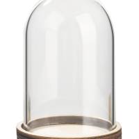Glas-Glocke mit Holzboden Bild 1