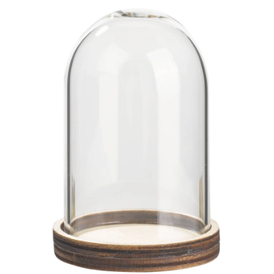 Glas-Glocke mit Holzboden