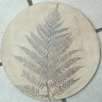 Replik eines Farns; Lebendes Fossil, Fossilien, Pflanze, Pflanzen, Abdruck, Replikat, Nachbildung Fliese Fliesen Wandfli Bild 1