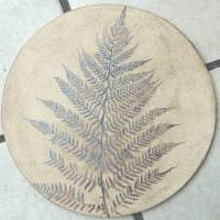 Replik eines Farns; Lebendes Fossil, Fossilien, Pflanze, Pflanzen, Abdruck, Replikat, Nachbildung Fliese Fliesen Wandfli Bild 2