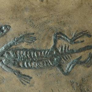 Seltene  Dino Replik in Museums Qualität. Flossenechse, Sauropterygia, Fossil, Tierfossilien, Reptil, Fossilien, Tiere, Bild 1
