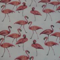 15,00 EUR/m Jersey Baumwolljersey Flamingo auf weiß Bild 1