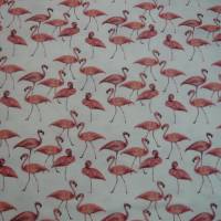 15,00 EUR/m Jersey Baumwolljersey Flamingo auf weiß Bild 2