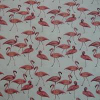 15,00 EUR/m Jersey Baumwolljersey Flamingo auf weiß Bild 3