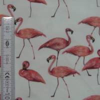 15,00 EUR/m Jersey Baumwolljersey Flamingo auf weiß Bild 5