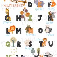 Poster zum Lernen, Buchstaben - Lernposter ABC Zoo Tiere, Einschulungsgeschenk, Dekoration Kinderzimmer Bild 2