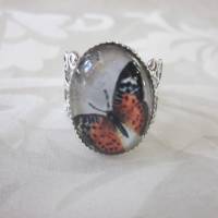 Ring mit Schmetterling Cabochon Orange "Stella" romantisch verschnörkelt Vintage Stil Geschenkidee Bild 1