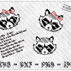 SVG - PNG - DXF - Datei - Waschbär - Plotterdatei - Racoon Bild 1