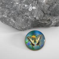 Schmetterling runde   Brosche 30 mm  Glascabochon bronze Bild 1