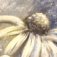 FROSTIGER WEISSER SONNENHUT 20cmx50cm - glitzerndes Blumenbild mit Echinacea im Shabby Chic Look auf Leinwand Bild 4