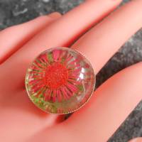 Getrocknete Blume  Resin  versilbert Ring  rund kuppel Bild 1