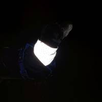 Hundehalstuch Wendehalstuch  Bandana Hund Tuch verstellbar  personalisiert reflektierend im Dunkeln mit Name Bild 2