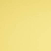 Jersey Baumwolljersey UNI Einfarbig hellgelb  Oeko-Tex Standard 100 (1m/11,-€) Bild 3