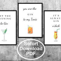 3 Poster für Gin-Liebhaber in Größe A4 als sofort Download, PDF Bild 1
