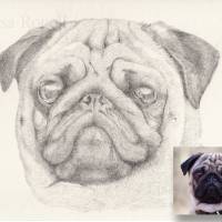 Handgezeichnetes Haustierportrait auf Zeichenkarton, Tiermalerei, detailgetreues Tierporträt nach Fotovorlage Bild 2