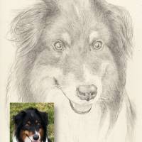 Handgezeichnetes Haustierportrait auf Zeichenkarton, Tiermalerei, detailgetreues Tierporträt nach Fotovorlage Bild 3