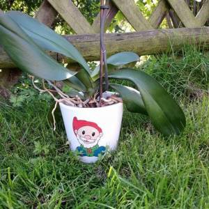 Plotterdatei Set Zwerg & Weihnachtszwerg – Doppelpack SVG DXF für Weihnachten und Sommer Bild 10