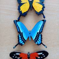 Mobile Schmetterlinge Bild 5