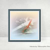 Flügeltiere LIBELLE in Pastell Bild auf Holz Leinwand Print Wanddeko Landhausstil VintageStyle ShabbyChic online kaufen Bild 3