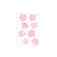 Gepresste Blüten Rittersporn rosa Bild 1