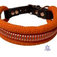 Hundehalsband, verstellbar, orange, rosegoldfarben, Leder und Schnalle Bild 4