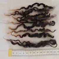 40 Gramm Locken vom schwarzen Wensleydale Schaf, Puppenhaar, Filzen, Spinnen, Weben, Basteln Bild 1