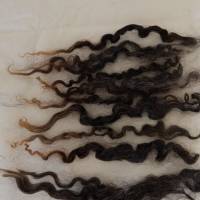 40 Gramm Locken vom schwarzen Wensleydale Schaf, Puppenhaar, Filzen, Spinnen, Weben, Basteln Bild 3