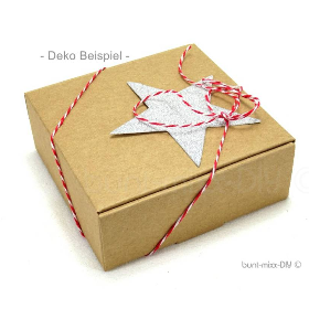 10 Faltschachteln Geschenkbox Gastgeschenk Geschenke verpacken Gr. L 9,5x9,5x3,5cm Schachtel Kraftpapier Adventskalender