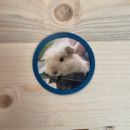 3D-Foto Klettie „Rund“ für Schulranzen (z.B. ergobag)