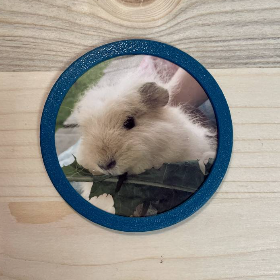 3D-Foto Klettie „Rund“ für Schulranzen (z.B. ergobag)