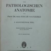 Taschenbuch der Pathologischen Anatomie 1936 Bild 1