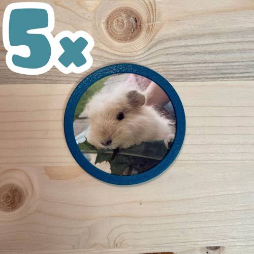 5x 3D-Foto Klettie „Rund“ für Schulranzen (z.B. ergobag)