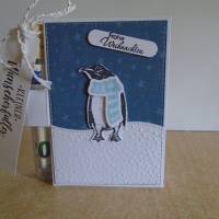 Geldgeschenk Weihnachten Pinguin  Reagenzglas Geldverpackung Wunscherfüller Weihnachtsgeschenk Geschenkidee Geschenk Bild 1