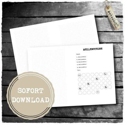 Meilensteine - zum Heft faltbar oder zum Lochen *SOFORT DOWNLOAD*