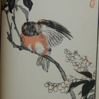 Japanische Meisterholzschnitte - Eisvogel und Päonie Bild 5