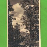 AK - Waldpartie bei Altenhundem mit Blick auf Hohe Bracht - ca. 1930 Bild 1