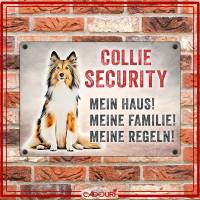 Hundeschild COLLIE SECURITY, wetterbeständiges Warnschild Bild 2