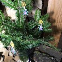 3 x weihnachtliche Geschenkanhänger 'Kerze' - gestickt in Free Standing Lace Technik Bild 2