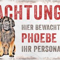 Hundeschild ACHTUNG! (Leonberger) mit Hundename, wetterbeständiges Warnschild Bild 1
