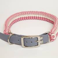 Hundehalsband, verstellbar von 51 bis 56,5 cm Halsumfang, Sofortkauf Bild 3