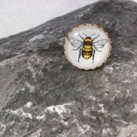 Biene goldfarbe   Ring  rund mit Glascabochon Bild 1