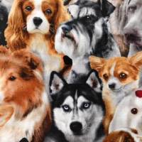 Baumwolldruck "Dog Breeds", 112 cm breit, Meterware, Preis pro 0,5 lfdm Bild 2