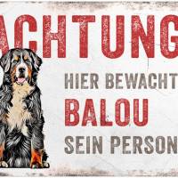 Hundeschild ACHTUNG! (Berner Sennenhund) mit Hundename, wetterbeständiges Warnschild Bild 1