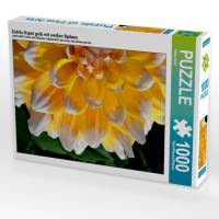 Dahlie Hapet gelb mit weißen Spitzen - Fotografie (Puzzle) • 1000 Teile • gelegte Größe: 68 x 48cm Bild 1